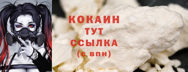 PSILOCYBIN Бронницы