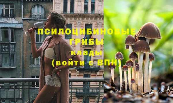прущие грибы Бугульма