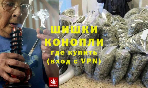 прущие грибы Бугульма